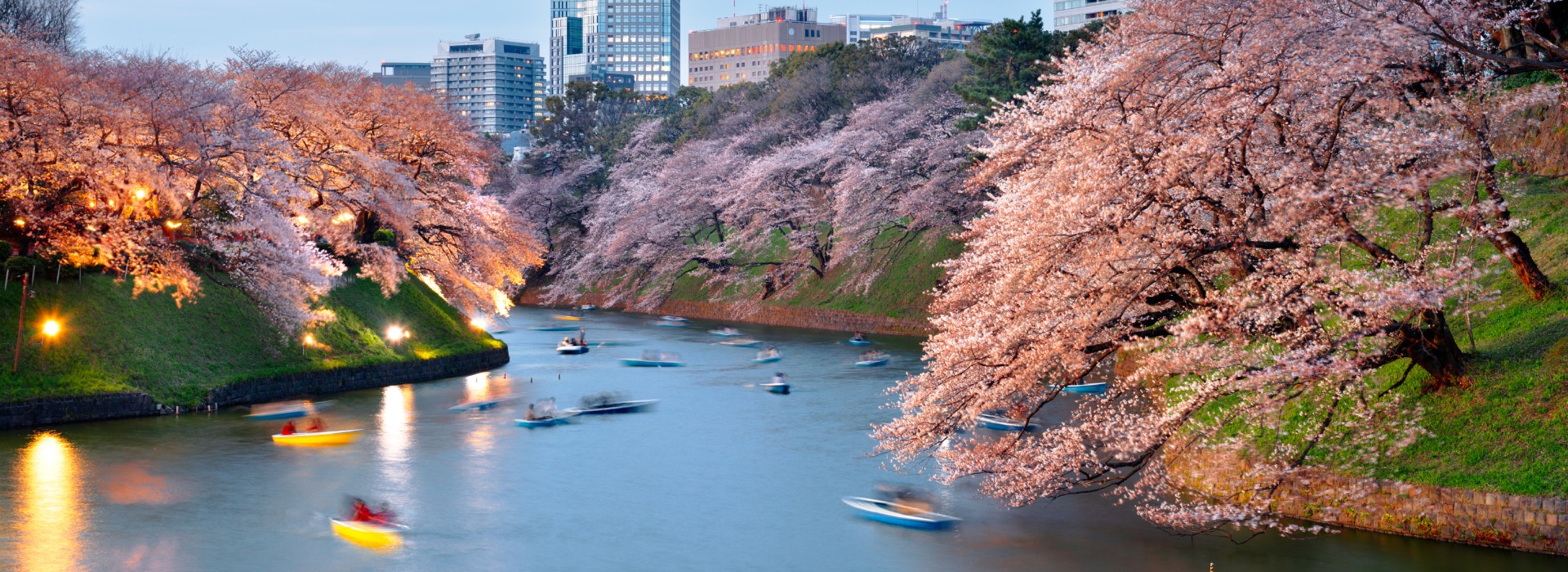 Perfect Spring in Japan