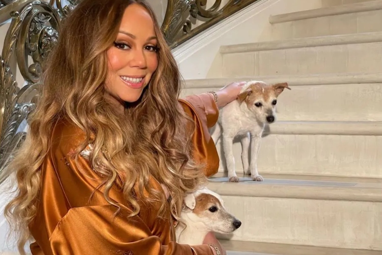 You Can Now Stay at Mariah Carey's Favorite L.A. Vacation Rental — With a  Private Pool, 10 Bedrooms, and a Sauna