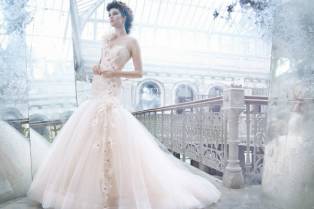 Top 10 Most Expensive Wedding Dresses: Diamonds, Silk & Platinum